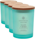 Chesapeake Bay Candle Mind & Body Medium Jar Candle Nourish + Renew (Coconut & Sandalwood) (Pack of 4) by ChesapeakeBayFragrance
