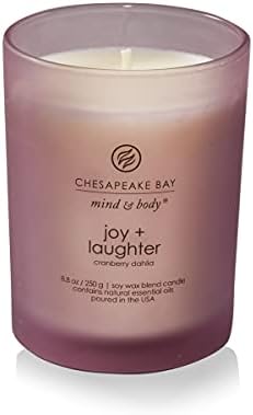 Chesapeake Bay Candle Medium Jar Candles | Joy + Laughter (Cranberry Dahlia) and Confidence + Freedom (Oak Moss Amber) 2 Count Home Décor - Image 4
