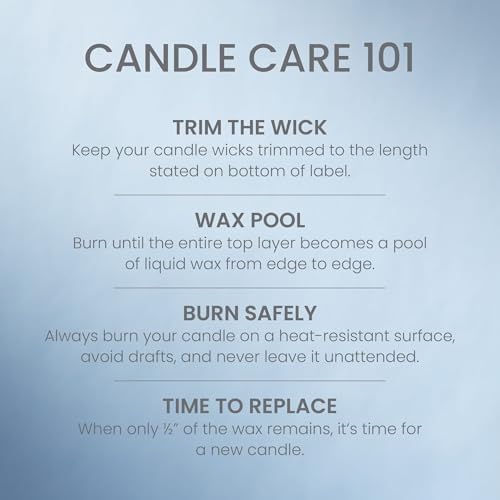 Yankee Candle Warm Luxe Cashmere, Holiday Scented Candle, 22oz Large Jar with up to 150 Hour Burn Time, Giftable (Pack of 4) - Image 5
