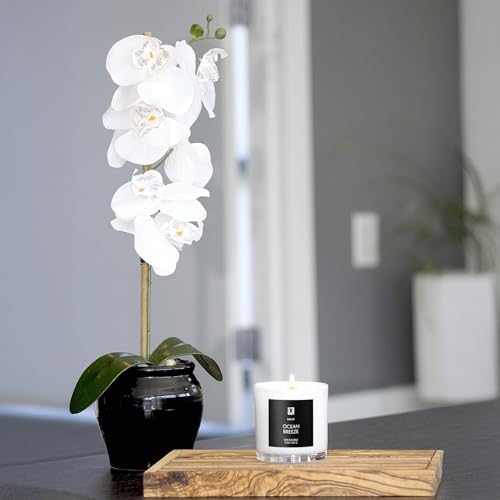 Lulu Candles | Island Coconut | Luxury Scented Soy Jar Candle | Hand Poured in The USA | Highly Scented & Long Lasting (9 Oz.) - Image 6