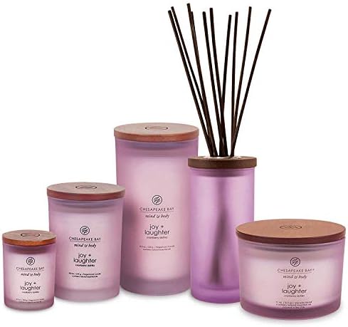 Chesapeake Bay Candle Joy + Laughter Scented Candles Cranberry Dahlia Medium 2-Pack Long Burn Time Home Décor - Image 3