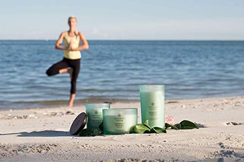 Chesapeake Bay Balance + Harmony Scented Candles Water Lily Pear Fragrance Medium Size Natural Soy Wax 50 Hours Burn Time Pack of 2 - Image 4