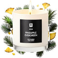 Lulu Candles Pineapple Evergreen Scented Soy Blend Jar Candle, 9 Oz. by LULUCANDLES
