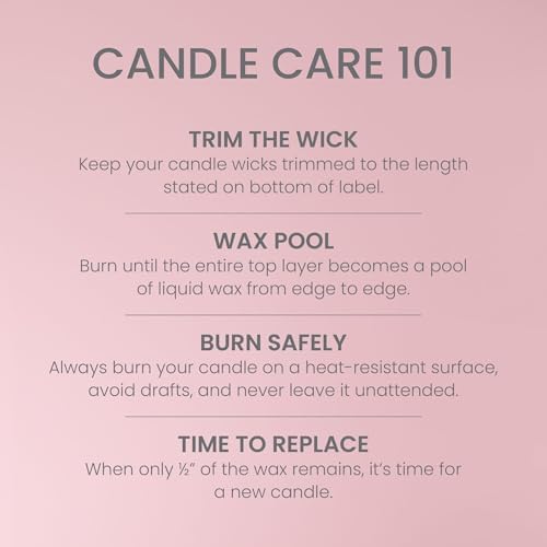 Yankee Candle Vanilla Cupcake, Scented Candle, 22oz Large Jar with up to 150 Hour Burn Time, Giftable, Birthdays (Pack of 4) - Image 5