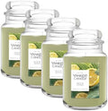 Yankee Candle Sage & Citrus, Scented Candle, 22oz Large Jar with up to 150 Hour Burn Time, Giftable, Birthdays (Pack of 4) by YankeeCandle