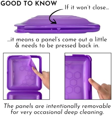 Big Bee, Little Bee SoftShell Reusable Silicone Food Storage Container - Clamshell Snap-Close Design, No Lost Lids, Easy to Clean, Compact for Travel, Meal Prep, Microwave Freezer and Dishwasher Safe - Image 7
