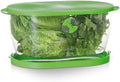 Prep Solutions by Progressive Lettuce Keeper Produce Storage Container, 4.7 Quarts, Green (LKS-06) by ProgressiveInternational