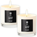 Lulu Candles | Ocean Breeze | Luxury Scented Soy Jar Candle | Hand Poured in The USA | Highly Scented & Long Lasting (9 Oz. 2 Pack) by LULUCANDLES