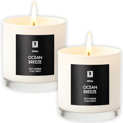 Lulu Candles | Ocean Breeze | Luxury Scented Soy Jar Candle | Hand Poured in The USA | Highly Scented & Long Lasting (9 Oz. 2 Pack) by LULUCANDLES