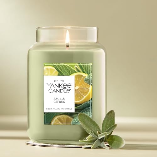 Yankee Candle Sage & Citrus, Scented Candle, 22oz Large Jar with up to 150 Hour Burn Time, Giftable, Birthdays (Pack of 4) - Image 4