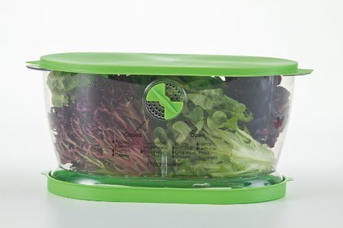 Prep Solutions by Progressive Lettuce Keeper Produce Storage Container, 4.7 Quarts, Green (LKS-06) - Image 3