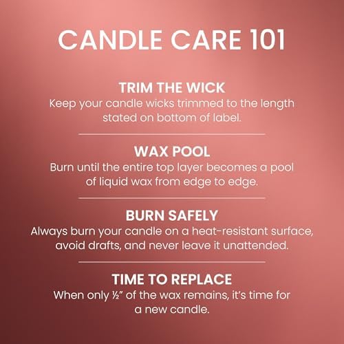 Yankee Candle Sugared Cinnamon Apple, Scented Candle, 22oz Large Jar with up to 150 Hour Burn Time, Giftable (Pack of 4) - Image 5