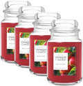 Yankee Candle Macintosh, Fall Scented Candle, 22oz Large Jar with up to 150 Hour Burn Time (Pack of 4) by YankeeCandle