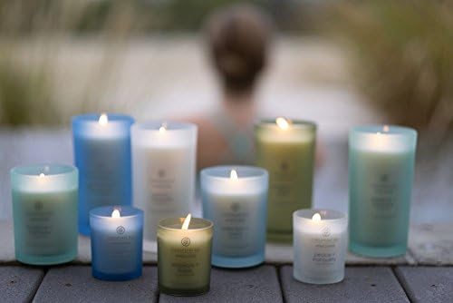 Chesapeake Bay Balance + Harmony Scented Candle Water Lily Pear Fragrance 50 Hours Burn Time Warm & Decorative Soy Wax Blend (Pack of 4) - Image 6