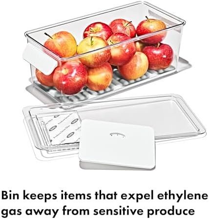 OXO Good Grips Produce Saver Bin with Carbon Filter - Image 3