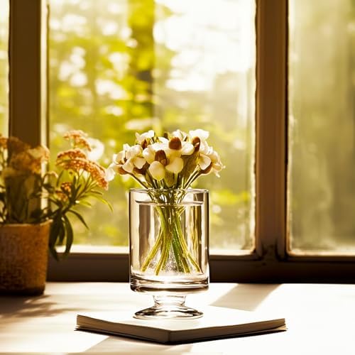 WGVI Clear Glass Pedestal Hurricane Candle Holder, 4.4" W, 5.9" H, Decorative Vase for Pillar Candles, Short Stemmed Candleholder Cylinder, Tabletop Centerpieces, Home Décor, Elegant Design, 6 Pieces - Image 3