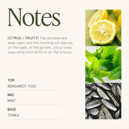 LA JOLIE MUSE Citrus Mint Scented Candles for Home, Natural Soy Wax, 55 Hrs - Image 4