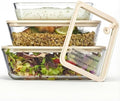 Vase & Vessel Glass Storage Containers, Rectangular, Set of 3, Clear/Beige by VaseVessel