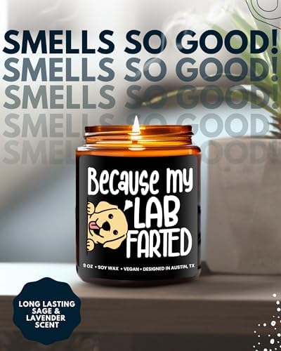 Funny Lab Candle, Labrador Retriever Gifts for Women and Men, Unique Funny Lab-Themed Gift Ideas, Best Present for Pet Lovers, Perfect Present for Dog Mom and Dog Dad, Birthday, Christmas, Gift-Ready - Image 5