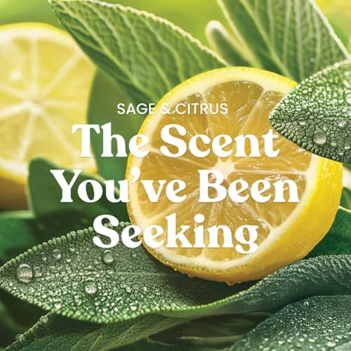 Yankee Candle Sage & Citrus, Scented Candle, 22oz Large Jar with up to 150 Hour Burn Time, Giftable, Birthdays (Pack of 4) - Image 2