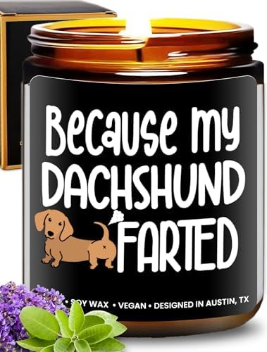 Funny Dachshund Candle, Dachshund Gifts for Women and Men, Unique Funny Pet-Themed Gift Ideas, Best Present for Pet Lovers, Perfect Presents for Dog Mom & Dog Dad, Birthday, Christmas, Gift-Ready by RosaVila