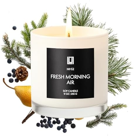 Lulu Candles | Fresh Morning Air | Luxury Scented Soy Jar Candle | Hand Poured in The USA | Highly Scented & Long Lasting (9 Oz.) by LULUCANDLES