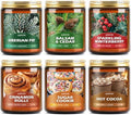 AOOVOO Winter Candles Set - 6 Pack Candles for Home Scented, 42 oz Natural Soy Wax 300 Hour Long Lasting, Winter Fragrance of by AOOVOO