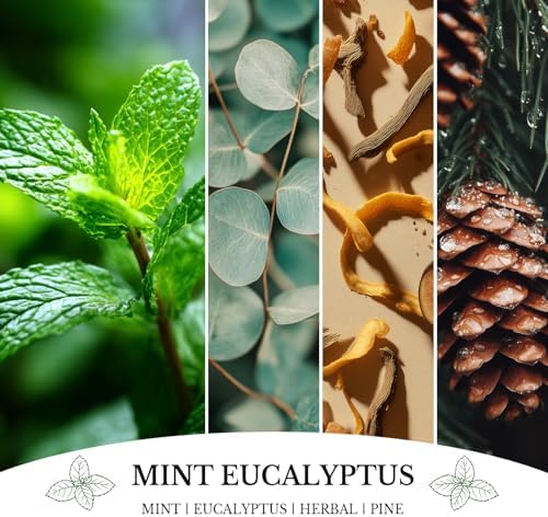 Mint Eucalyptus Candles, Mint Eucalyptus Scented Candle, Mother's Day Candle Gifts for Women, Soy Candles for Home Scented, 7oz 50 Hours Burn - Image 3
