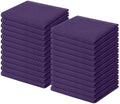 Homaxy 100% Cotton Waffle Weave Kitchen Dish Cloths 24-Pack, Eggplant by Homaxy
