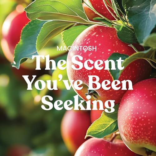 Yankee Candle Macintosh, Fall Scented Candle, 22oz Large Jar with up to 150 Hour Burn Time (Pack of 4) - Image 2
