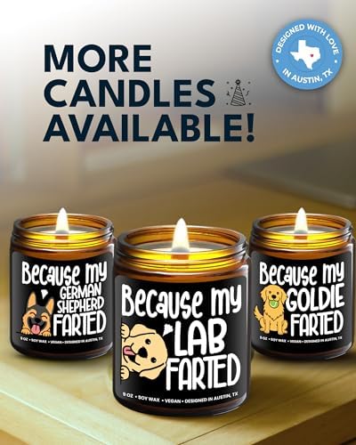 Funny Lab Candle, Labrador Retriever Gifts for Women and Men, Unique Funny Lab-Themed Gift Ideas, Best Present for Pet Lovers, Perfect Present for Dog Mom and Dog Dad, Birthday, Christmas, Gift-Ready - Image 6