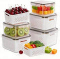 HOMETALL 5 Pack Fruit Storage Containers for Fridge Set, Fruit Washing Bowl with Strainer, Reusable Fridge Organizers and Storage for Berry Salad Lettuce, Size 4.5, 3.4, 1.8, 0.9, 0.4QT by OrderNow