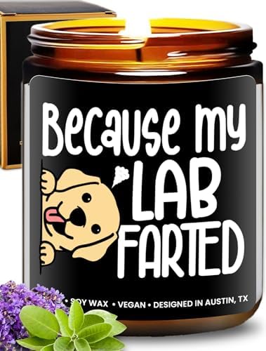 Funny Lab Candle, Labrador Retriever Gifts for Women and Men, Unique Funny Lab-Themed Gift Ideas, Best Present for Pet Lovers, Perfect Present for Dog Mom and Dog Dad, Birthday, Christmas, Gift-Ready by RosaVila