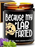 Funny Lab Candle, Labrador Retriever Gifts for Women and Men, Unique Funny Lab-Themed Gift Ideas, Best Present for Pet Lovers, Perfect Present for Dog Mom and Dog Dad, Birthday, Christmas, Gift-Ready by RosaVila