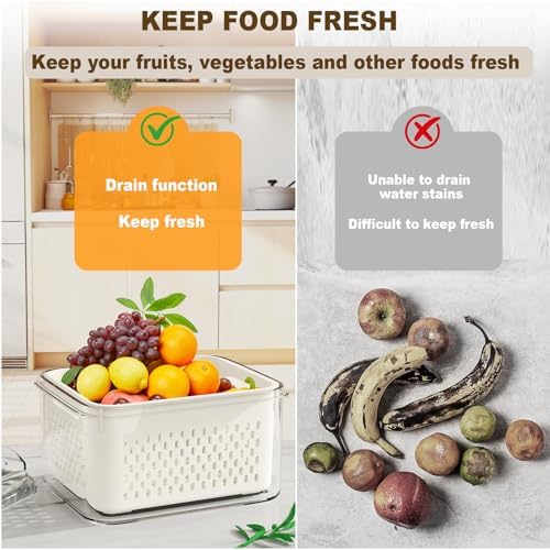 Dayacoco Fruit Storage Containers for Fridge 4 Pcs with Drain Basket - Image 4