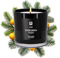 Lulu Candles | Evergreen Yuzu | Luxury Scented Soy Jar Candle | Hand Poured in The USA | Highly Scented & Long Lasting (9 Oz.) by LULUCANDLES