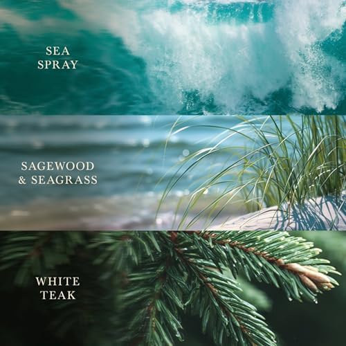 WoodWick Driftwood Shores Tri-Scented Candle, Crackling Wick, 21.5oz - Image 3