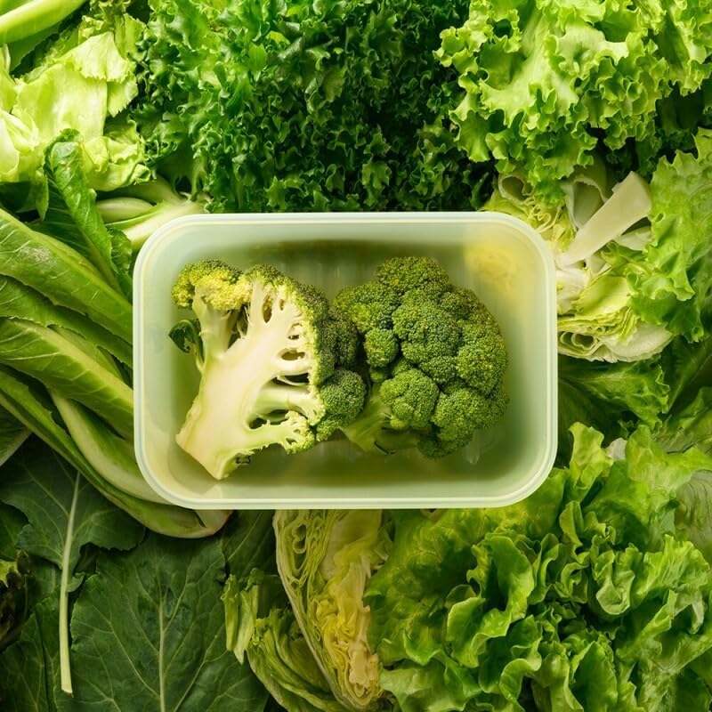 LocknLock Fresh-Block Plastic Food Storage Container | Produce Storage Containers for Fridge | Vegetable & Fruit Storage Containers for Fridge, Storage, Microwave & Dishwasher Safe, 760ml - Image 2