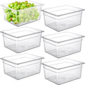 CURTA 6-Pack 1/2 Size 6" Deep NSF Polycarbonate Food Pans | Dishwasher & by CURTA