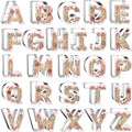 4 Inch Alphabet Letter Cookie Cutter Set by Xzhloym